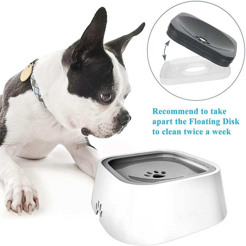 Pet dog and cat drinking bowl