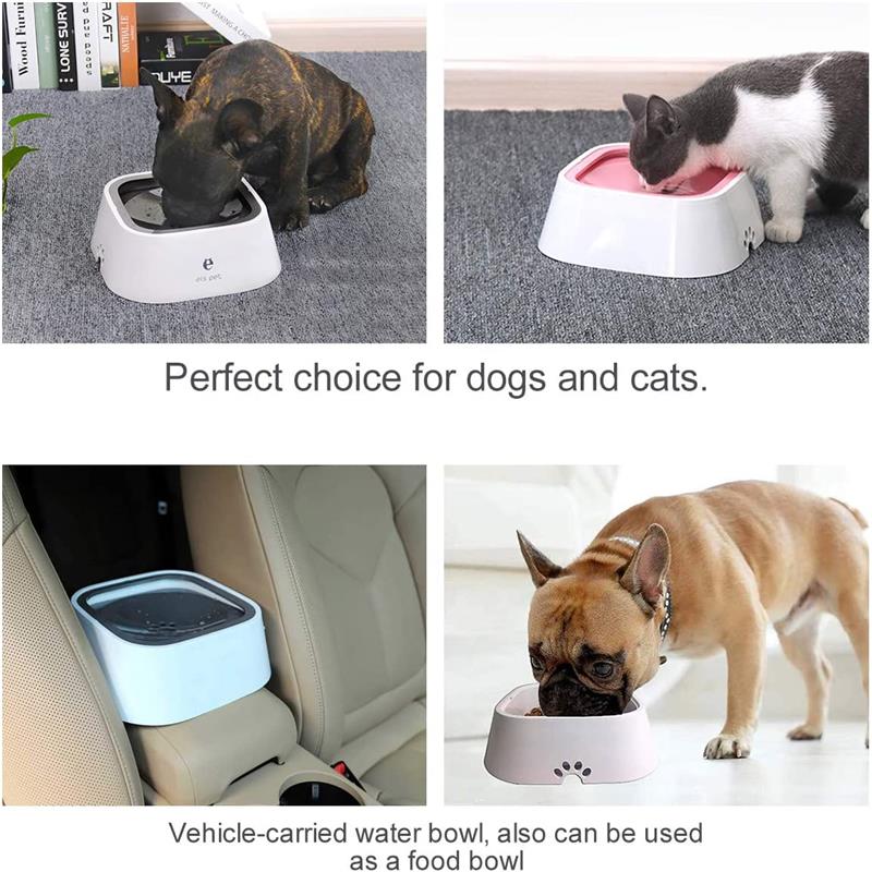 Pet dog and cat drinking bowl