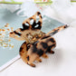 New Acetate Hair Claw Sweet Fairy Butterfly Hair Clip for Women Girls